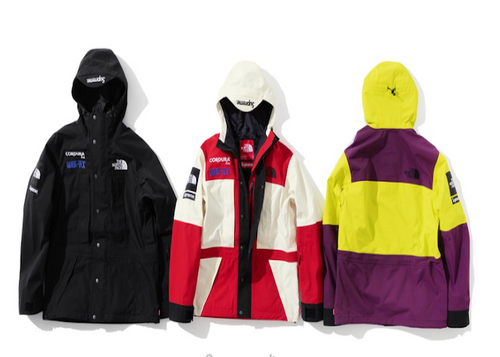 SUPREME NORTH FACE EXPEDITION JACKET (2018FW)