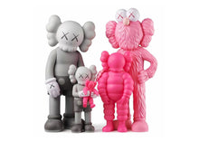Load image into Gallery viewer, KAWS FAMILY SET