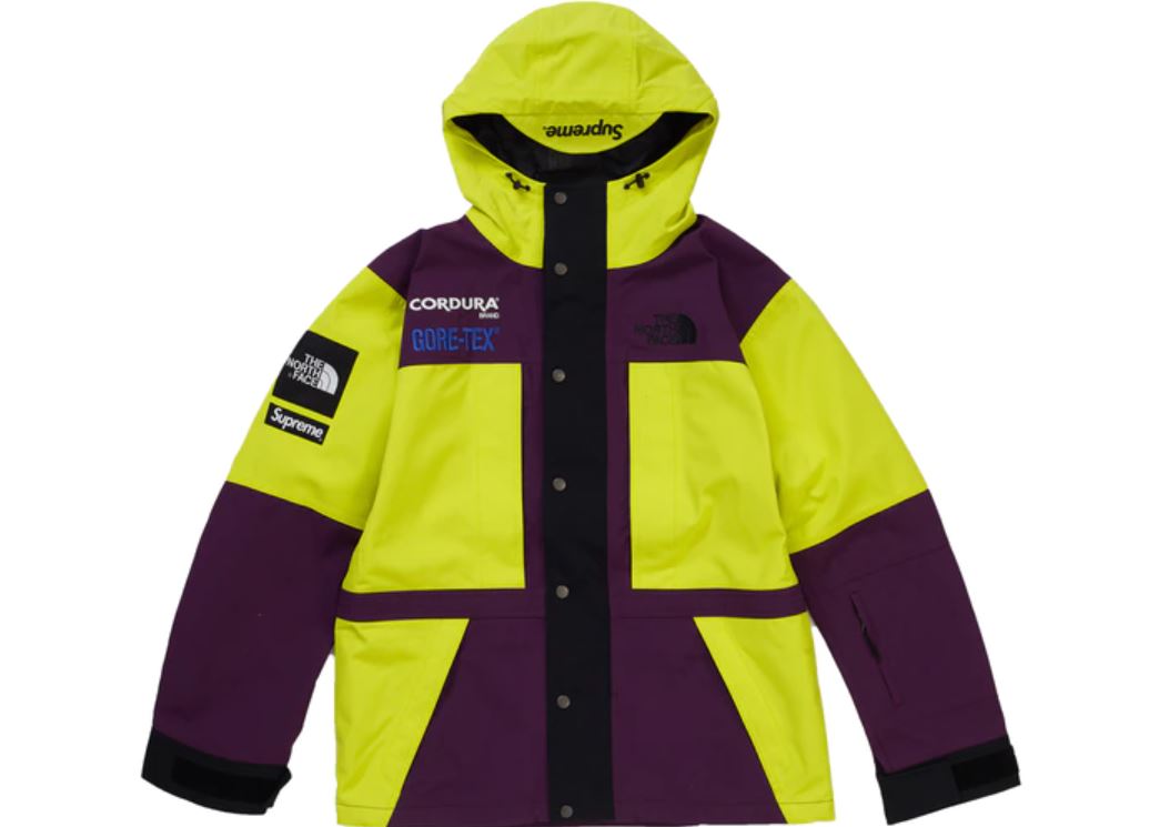 SUPREME TNF EXPEDITION JACKET (2018FW) – UNIQUE HYPE HK